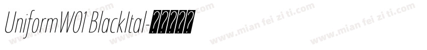 UniformW01 BlackItal字体转换